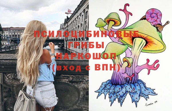 метадон Лагань