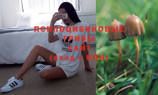 первитин Лабытнанги
