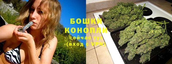 первитин Лабытнанги